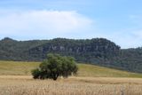 IMG_6935.JPG