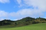 IMG_6983.JPG