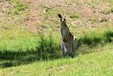 IMG_6989.JPG