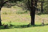 IMG_6994.JPG