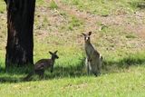IMG_6995.JPG