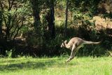 IMG_7001.JPG