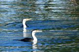 IMG_7017.JPG