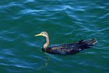 IMG_7041.JPG