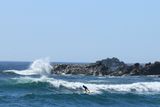 IMG_7049.JPG