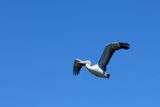 IMG_7067.JPG