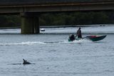 IMG_7070.JPG