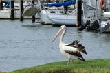 IMG_7073.JPG