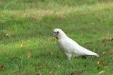 IMG_7082.JPG