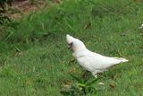 IMG_7089.JPG