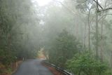 IMG_7131.JPG