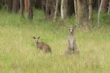 IMG_7134.JPG