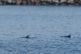 IMG_7199.JPG