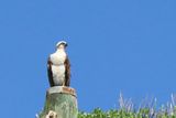 IMG_7212.JPG