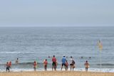 IMG_7333.JPG