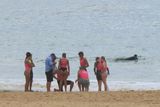 IMG_7334.JPG