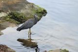 IMG_7356.JPG