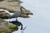 IMG_7360.JPG