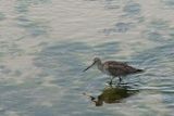 IMG_7366.JPG