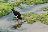 IMG_7372.JPG