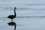 IMG_7384.JPG
