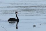 IMG_7385.JPG