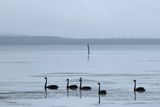 IMG_7389.JPG