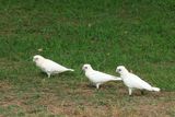 IMG_7396.JPG