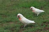 IMG_7401.JPG