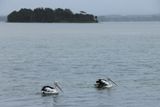 IMG_7402.JPG