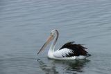 IMG_7404.JPG