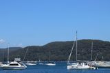 IMG_7418.JPG