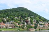 IMG_3286.JPG