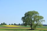 IMG_3438.JPG