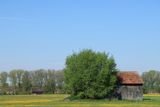 IMG_3439.JPG