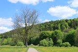 IMG_3445.JPG
