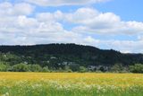 IMG_3447.JPG