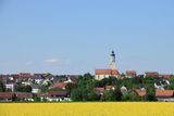 IMG_3532.JPG