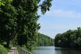 IMG_3536.JPG
