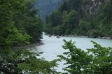 IMG_7033.JPG