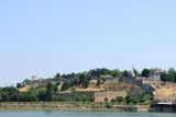 IMG_4855.JPG
