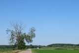 IMG_4762.JPG