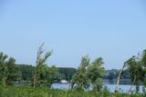 IMG_4765.JPG