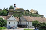 IMG_4819.JPG