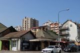 IMG_5029.JPG