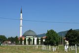IMG_5302.JPG