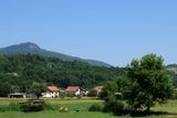 IMG_5333.JPG