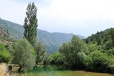 IMG_5455.JPG