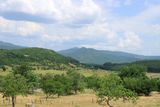 IMG_5457.JPG