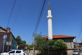 IMG_5584.JPG